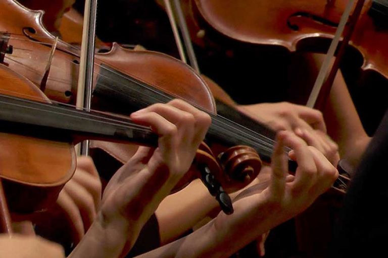 15-mitteleuropa-orchestra-archi